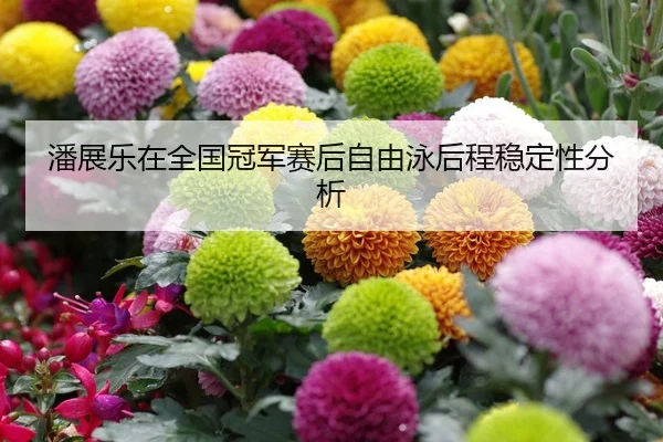 潘展乐在全国冠军赛后自由泳后程稳定性分析 - HTH Sports