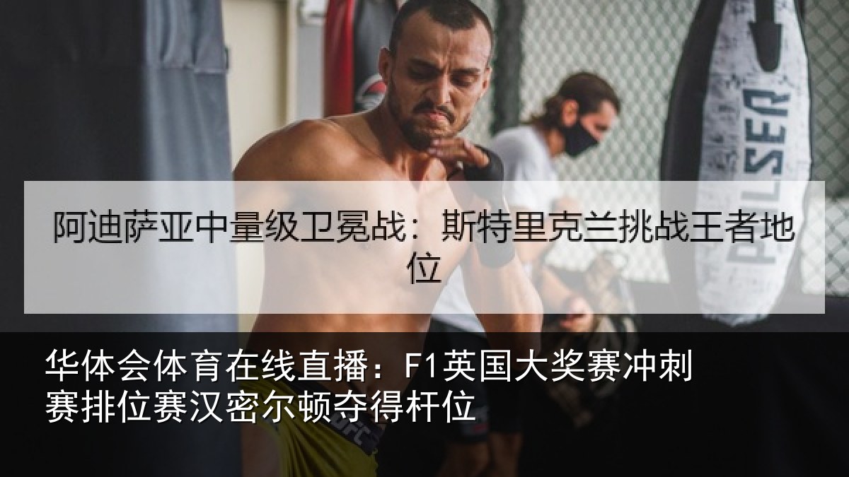 华体会体育在线直播:F1英国相关情况赛汉密尔顿夺得杆位